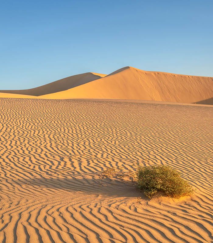Desierto